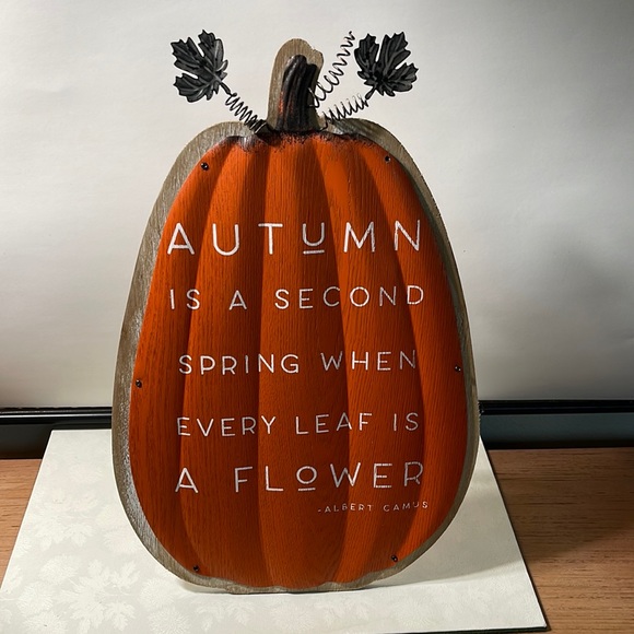 NWT Sturdy, Stand-Up, Outdoor/Indoor Fall Pumpkin Decor: Wood/Metal/Embellished - Picture 1 of 9